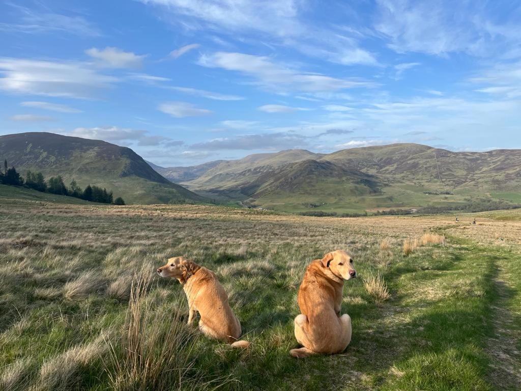 Gulabin Lodge Glenshee エクステリア 写真